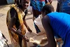 Nahrungsmittelhilfe: Diese Frauen erhalten je 50 Kilogramm Sorghum für ihre Familien (csi)