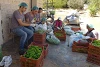 Syrer rüsten Gemüse bei den Jesuiten in Aleppo (csi)